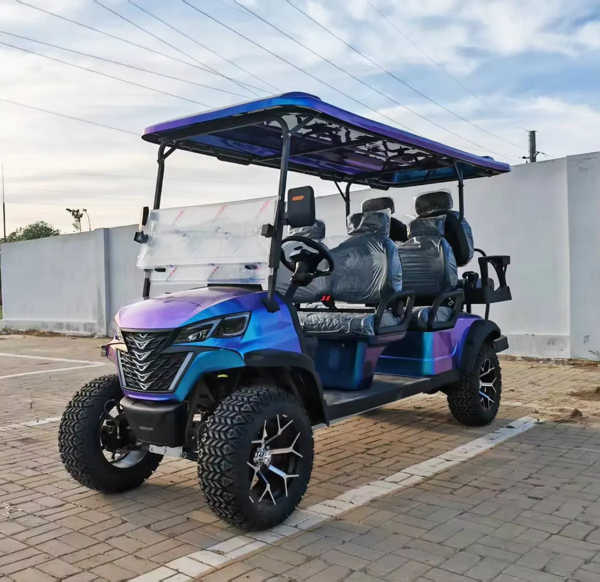 Customer customized golf cart photo